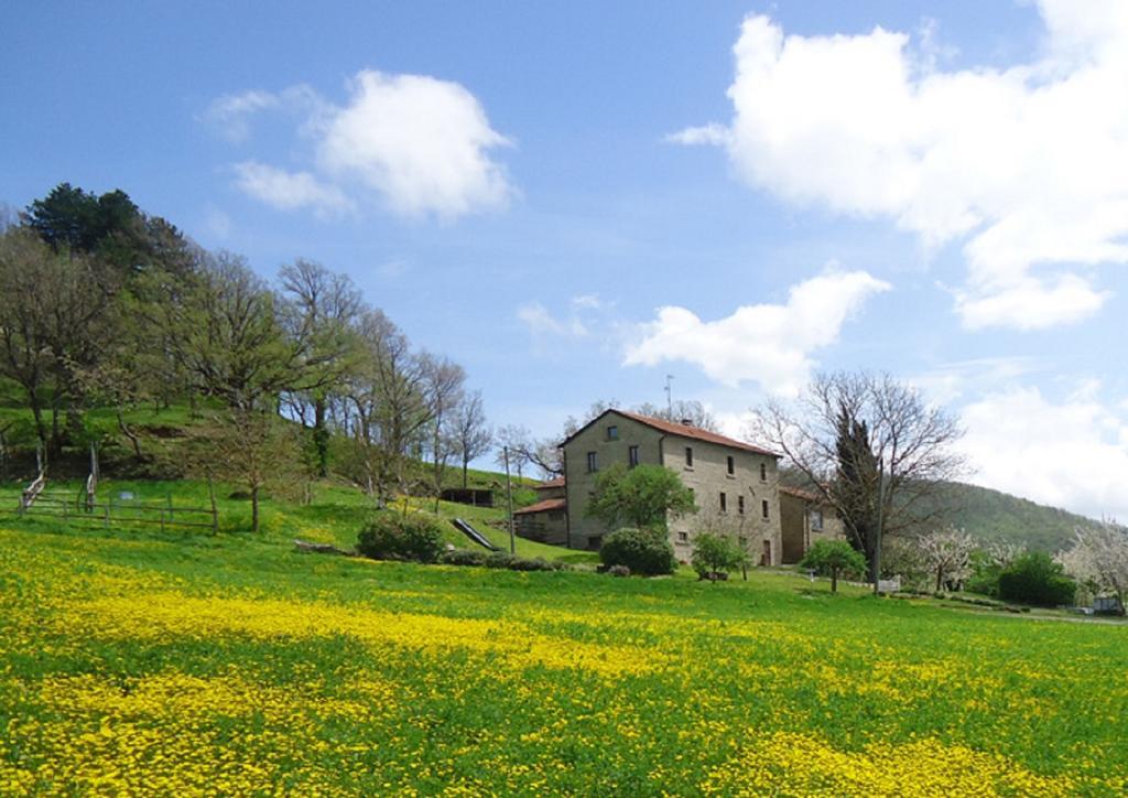 Vakantieboerderij I Monti Di Salecchio *